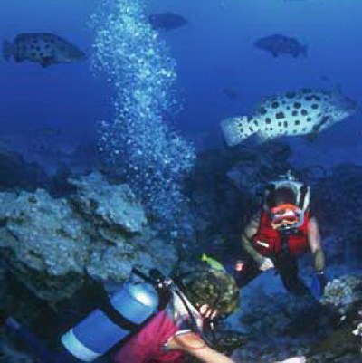 Barbados 8P5A 